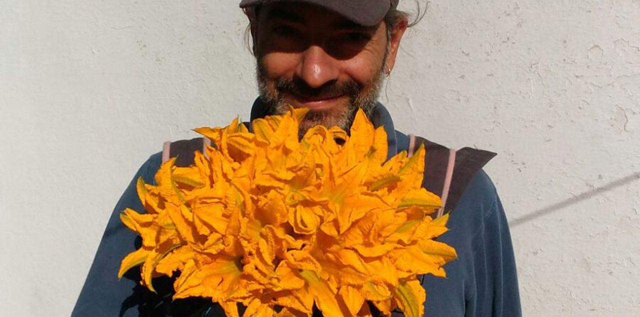 Fiori di zucca Masseria Dirupo