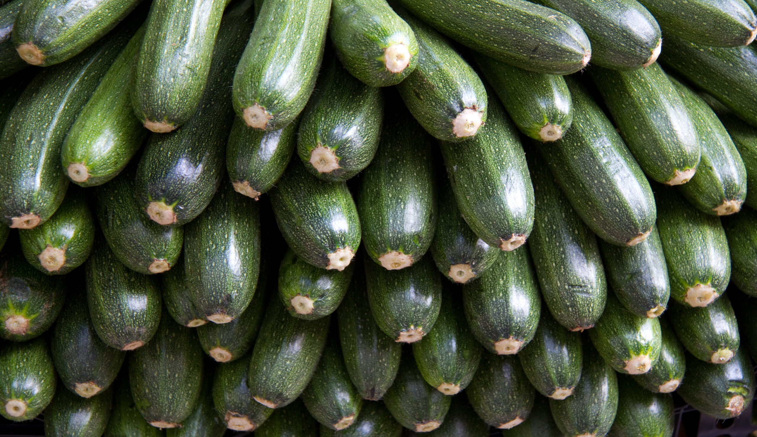 Courgettes_(7232533258)