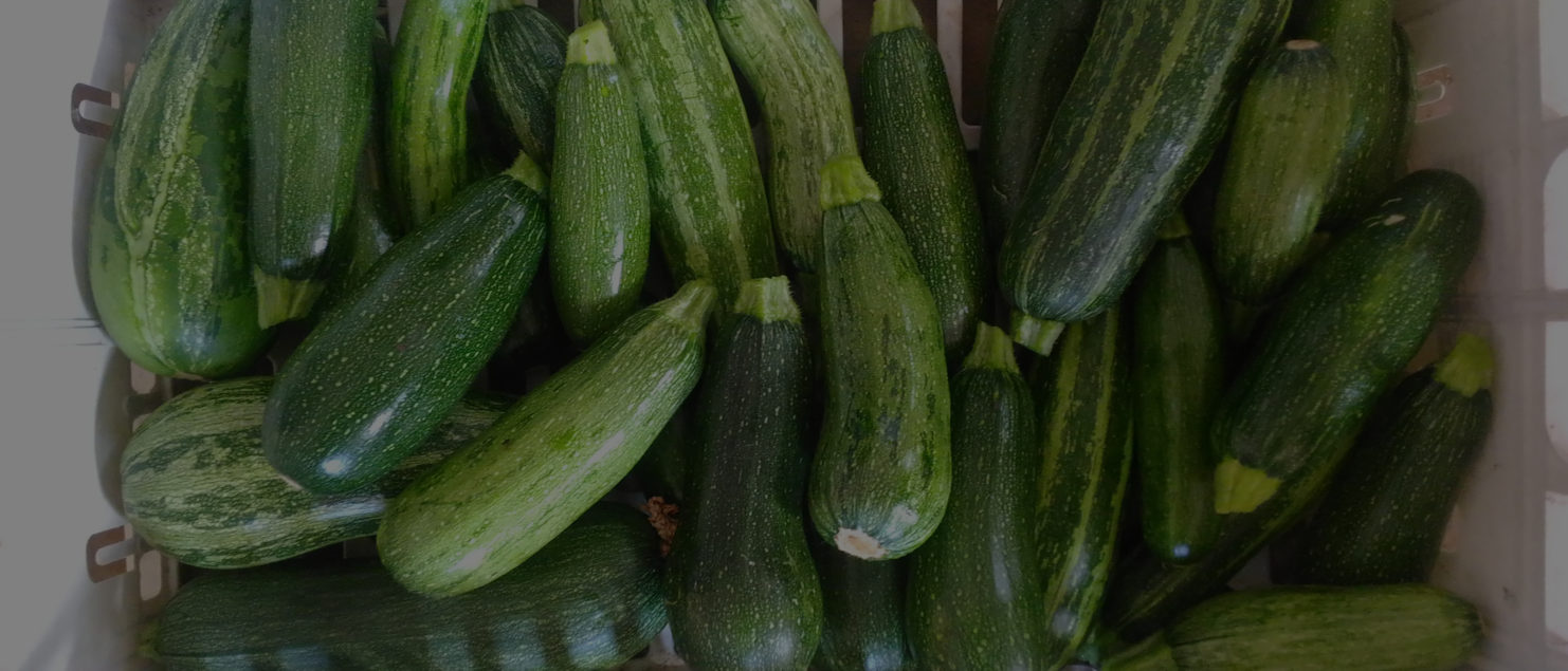 Zucchine